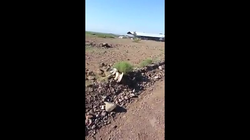 This young hawk was done for, trapped in the crushing grip of a bull snake, until a passing fisherman set him