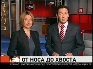 Самый длинный кот в мире)