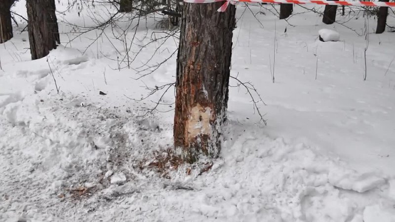 В бой идут одни