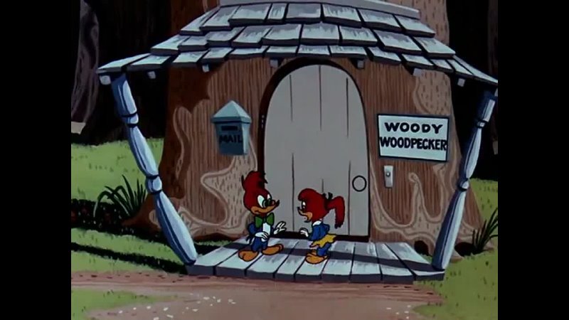 Woody Woodpecker 068 Get