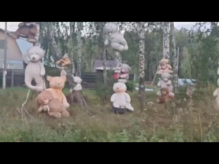 Плюшевые игрушки заметили на деревьях по дороге в свердловское село Мезенское.   Жутковатые на первый взгляд мишки — на... (видео)