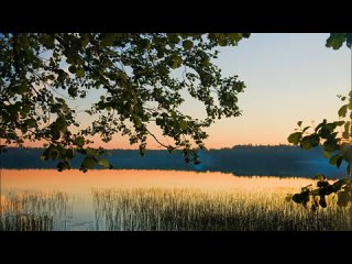 Наталья Морозова - Улетай на крыльях ветра