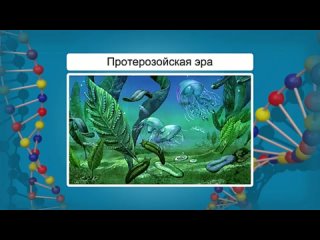 Биология 11 класс. История развития жизни в архейскую и протерозойскую эру