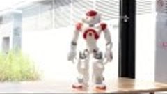 Evolution Of Dance by NAO Robot