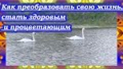 Как преобразовать свою жизнь стать здоровым и процветающим