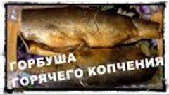 Коптите рыбу правильно! Горбуша горячего копчения.Домашняя к...