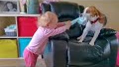 How kids should interact with a dog