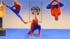 Taekwondo Spiderman | Flips &amp; Kicks