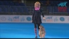 World Dog Show 2016 (день 4)