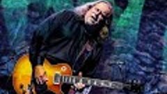 Warren Haynes explosive &quot;Lively Up Yourself&quot;