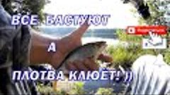 Все бастуют а плотва клюёт. Плотва на пикер Волжанка Оптима.