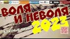 Воля и неволя /2023 - Блатные хиты/