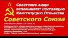 ВОЛОСЫ ДЫБОМ ! Передача ТВ 2001 год Только факты