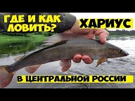 1 АПРЕЛЯ . Азов Таганрог Ростов Ейск  РЫБАЛКА клёв фото видео Обуховка Батайск Кагальницкая Левинцовка Бензопилы мечётинская Рогожкино настройка карбюратора