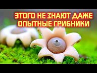 А Вы знали?....