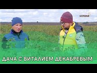 Дача с Виталием Декабревым