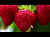 МОСКОВСКИЙ ЭКСПЕРТ