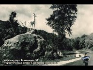 СТАРЫЙ ГЕЛЕНДЖИК   ОТ Е. ДРОНОВА