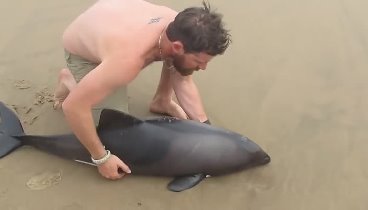 Видеоролик