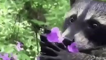 Видеоролик