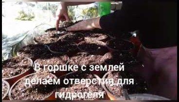 Видеоролик