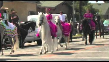 Andalusian Horse Garrido in the Mexican Independence Day Parade 9-20 ...