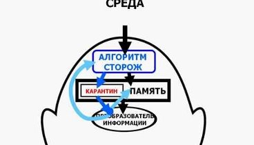 Видеоролик