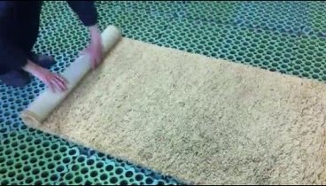 Выбивание пыли из высоковорсных ковров