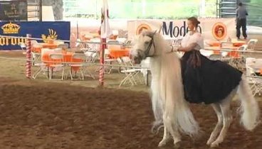 Andalusian Horse Garrido and Mylessa Spanish Dancing at ANCCE Show