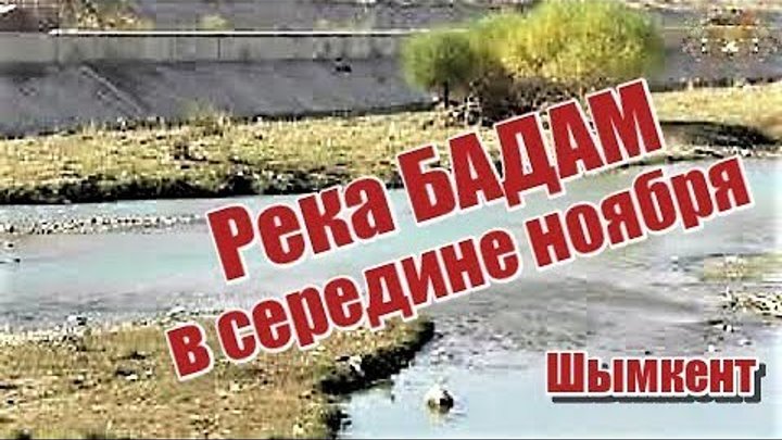 Река бадам в шымкенте