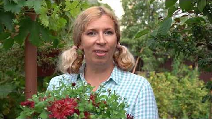Анастасия рыкалина биография личная жизнь Елена Янушкевич (Орешкина) - Заметки OK.RU