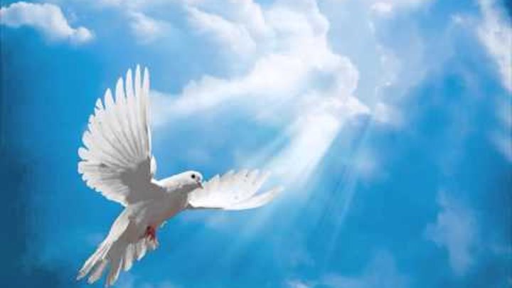 Меморіальну дошку загиблій у зоні ООС старшому солдату ЗСУ Ярославі Никоненко відкрили в Миргороді - Цензор.НЕТ 8790