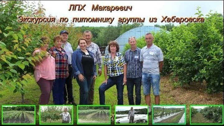 Долбня питомник кувандык. Садовый питомник. Питомник вишневый сад. Лпх корни питомник. Лпх корни питомник.