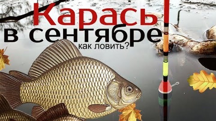 Как ловить Карася в Сентябре На что ловить карася Осенью Где искать карася Насад