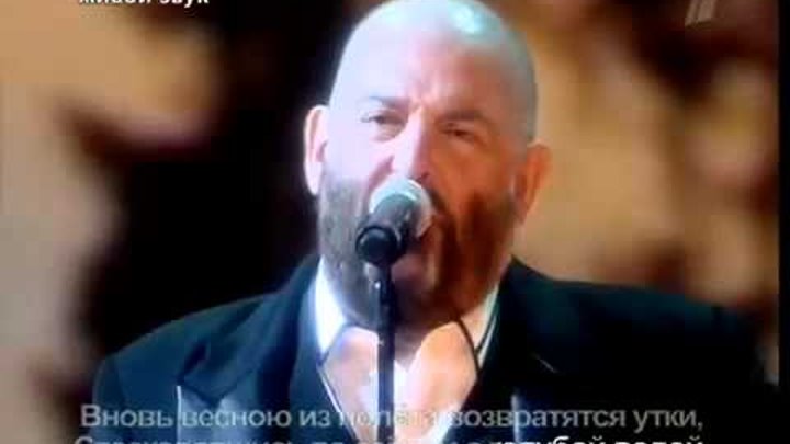 шуфутинский утки