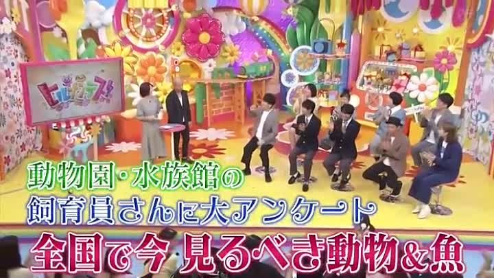 ヒルナンデス ディズニーのハロウィーン情報大公開 佐藤勝利 高橋海人スタジオ登場