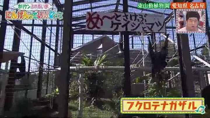 アメトーークpresentsホリケンふれあい旅9