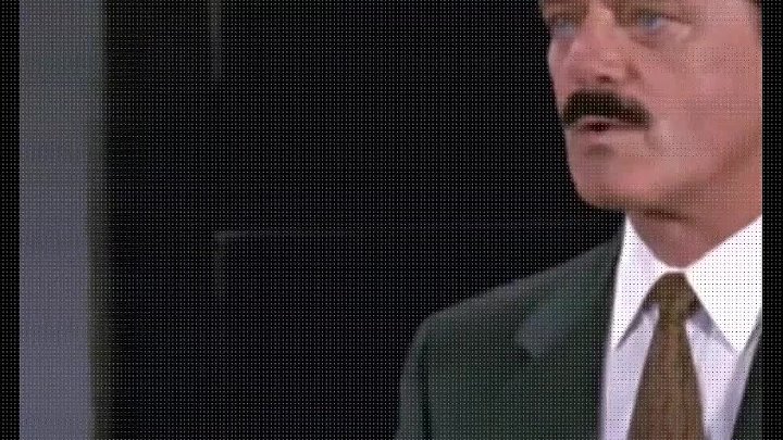 1991 The Naked Gun 2Ã‚Â½: The Smell Of Fear