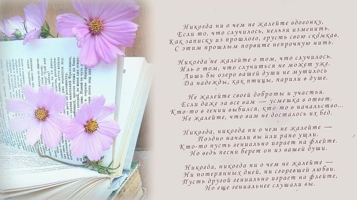 Снежина стихи. Не жалею не зову не плачу ноты. Как важно вовремя успеть сказать. Стих никогда. Никогда ниочем не жалейте вдогонку.