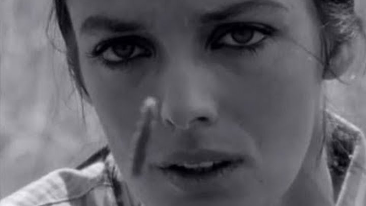 Мари лафоре полет кондора. Мари лафоре песни. Мари лафоре биография. Мари лафоре полет кондора. Je voudrais tant que tu comprennes мари лафоре.