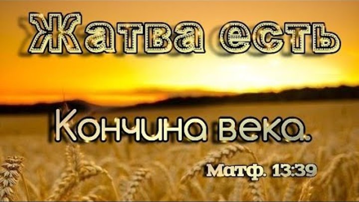 Сильная смелая как лебедь белая. Жатва подведет всему итоги минус. Жатва подведет всему итоги минус. Песня сильная смелая как лебедь белая. Жатва подведет всему итоги минус.