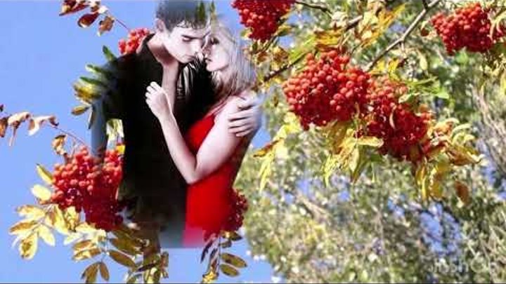 песня отшумела отгремела бабье лета. бабье лето отшумело отзвенело бабье лето. отшумело отзвенело бабье лето текст. песня отшумела отгремела бабье лета. отшумело отгремело бабье лето.