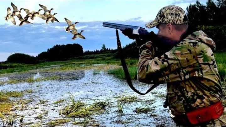 охота на утку 2023