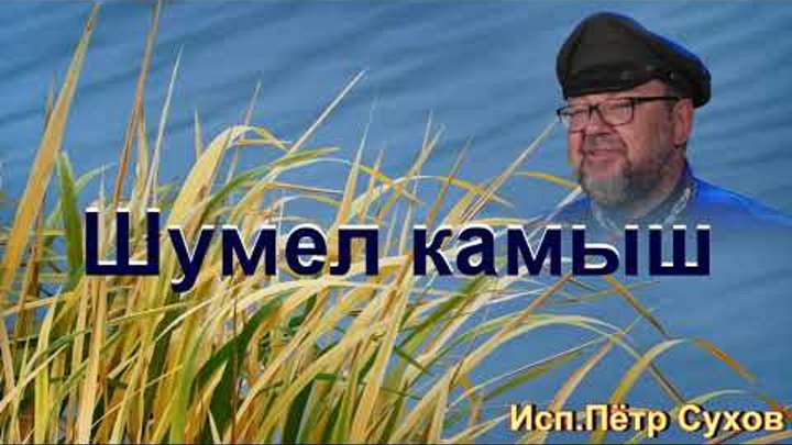 Шумел камыш где послушать. Шумел камыш где послушать. Шумел камыш текст. Шумел камыш текст. Шумел камыш.