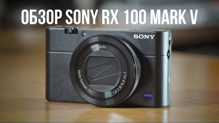 Мелкая зверюга. Обзор Sony RX 100 mark 5.