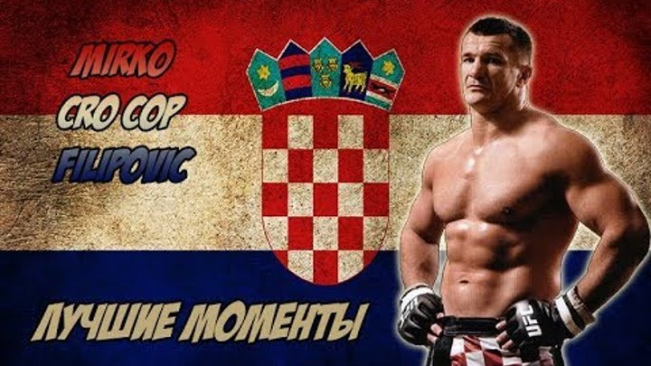 Мирко Крокоп бьет ногой