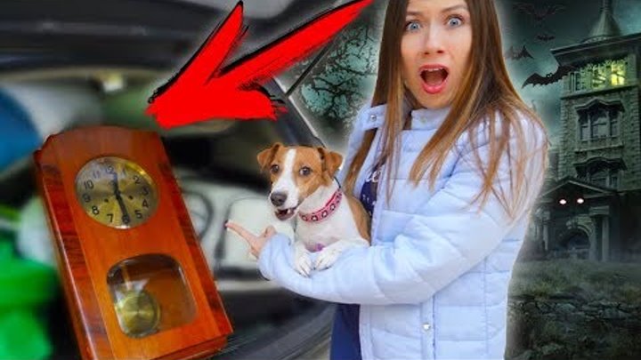 элли ди страшилки в доме призрак вэрана. элиди дом призрак. элли ди дом призрак. элли ди 2023. элли ди мистика в доме призрак.