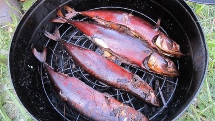 Закоптить рыбу на даче. Рыба коптил копченая коптилка. Копчение рыбы в коптильне. Сибирские коптильни. Коптильня для рыбы.