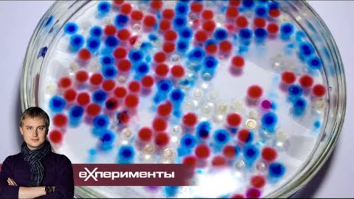 Химические опыты для детей. Наука 2 эксперименты. Антон войцеховский брянск. Наука 2. Ученый.