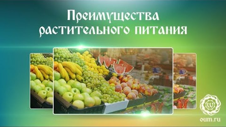 Растительное питание что это. Растительные продукты. Вегетарианского питания инфоурок. Растительное питание что это. Растительные продукты.